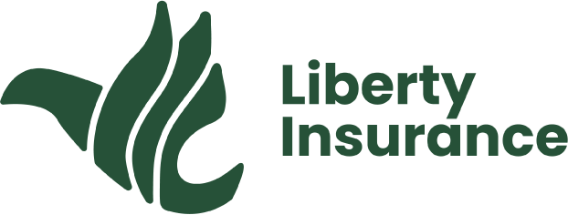 liberty travel insurance usa