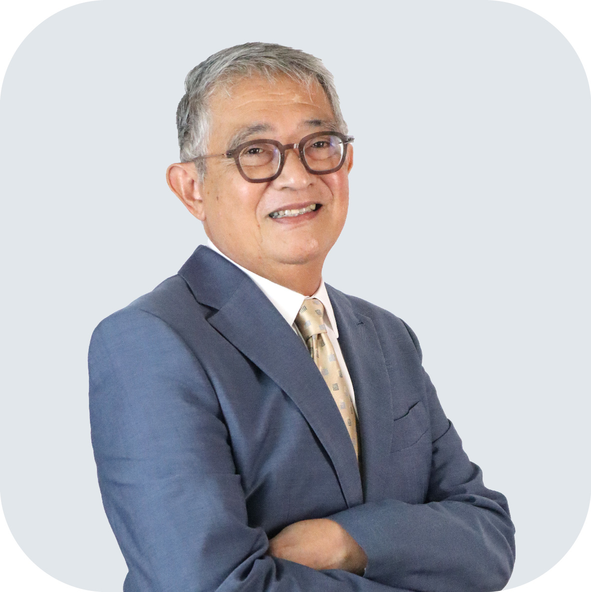 Ramon V. Ocampo Director